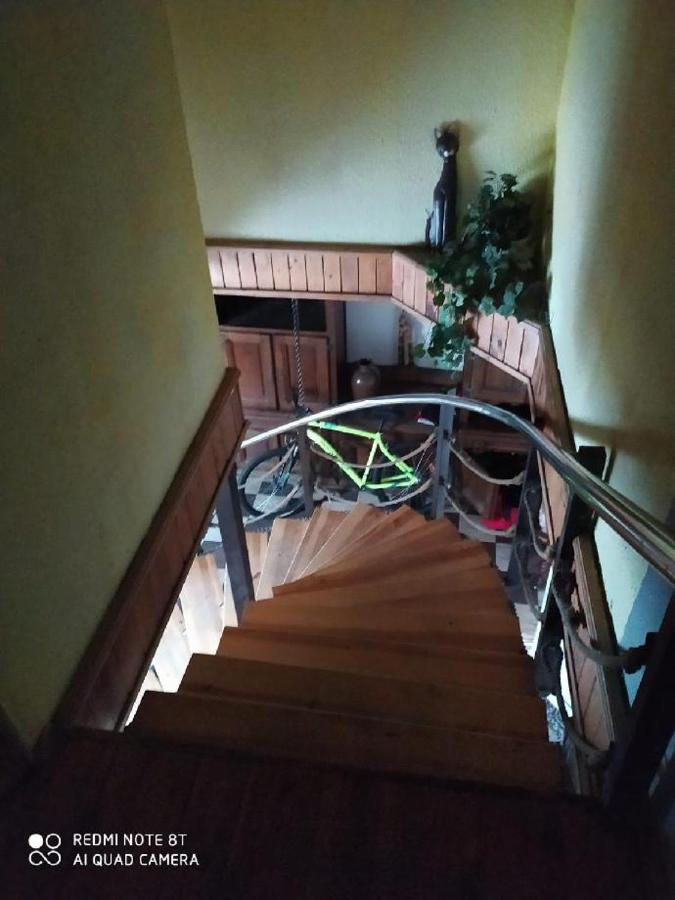 Penzion U Lipy Decin Dış mekan fotoğraf